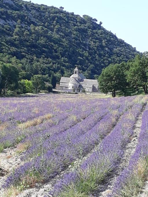 Bastidon Plein Sud Villa Gordes Exterior foto